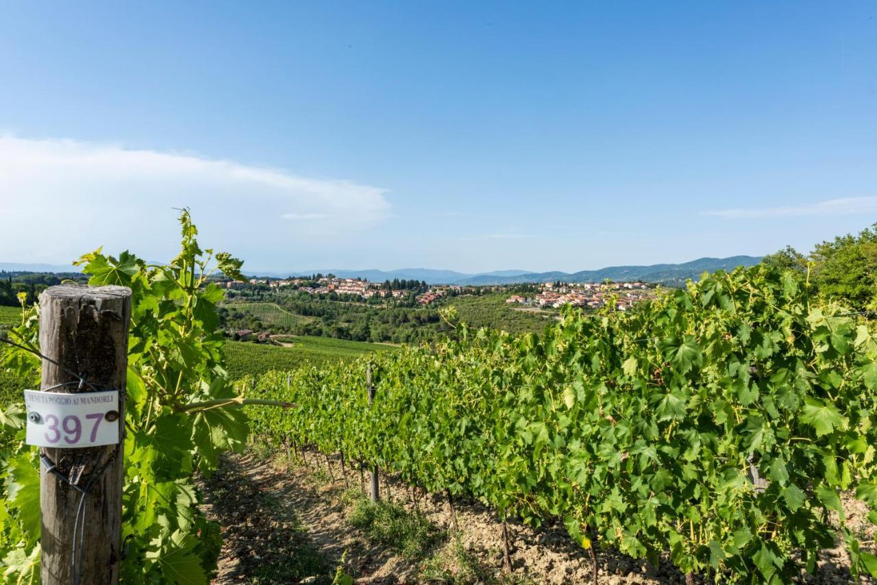 Tenuta Poggio Ai Mandorli Greve in Chianti Extérieur photo